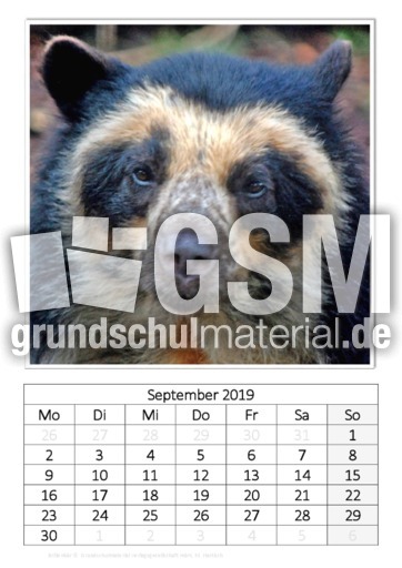 September_Brillenbär.pdf